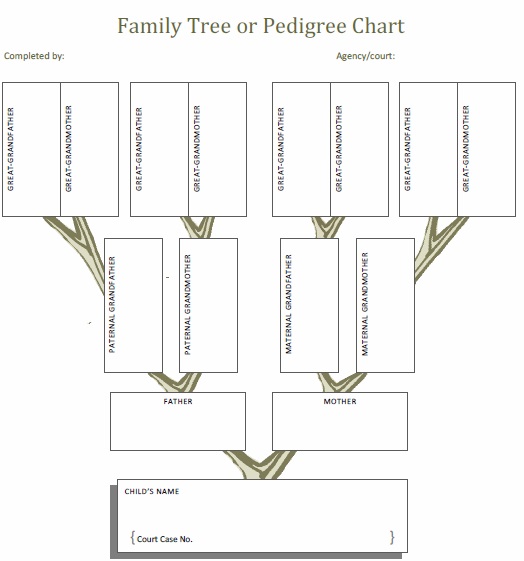 Family Tree or Pedigree Chart