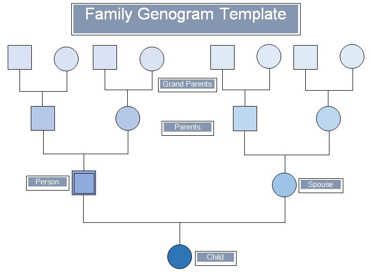 genogram template 16