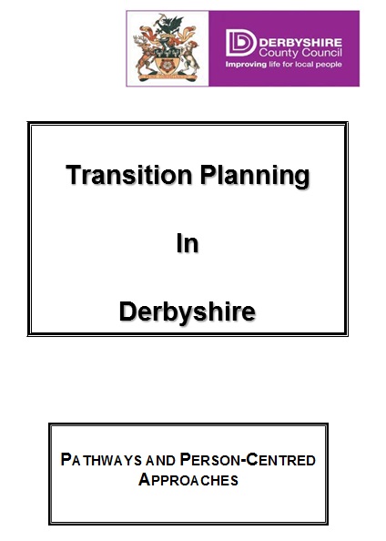 transition plan template 16