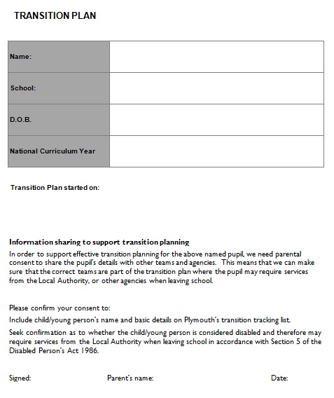 transition plan template 4