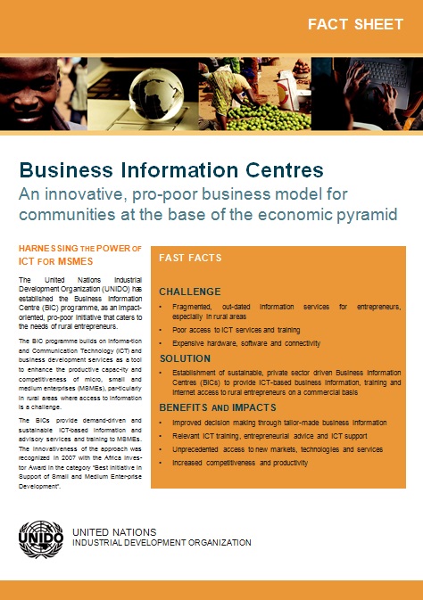 business information fact sheet template